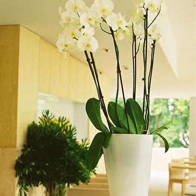 Otel Inlima & Ponte de Lima